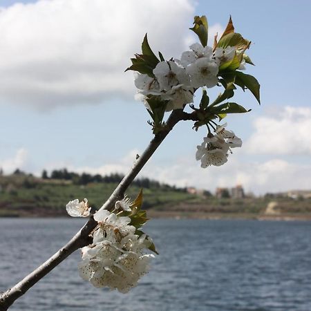Zimer Al-Bayt Mas'ada Esterno foto