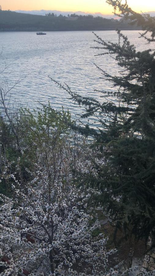 Zimer Al-Bayt Mas'ada Esterno foto